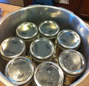 jars into pressure canner