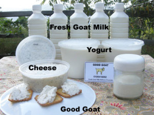 GoatMilkProducts