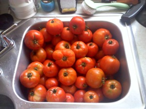 tomatoes